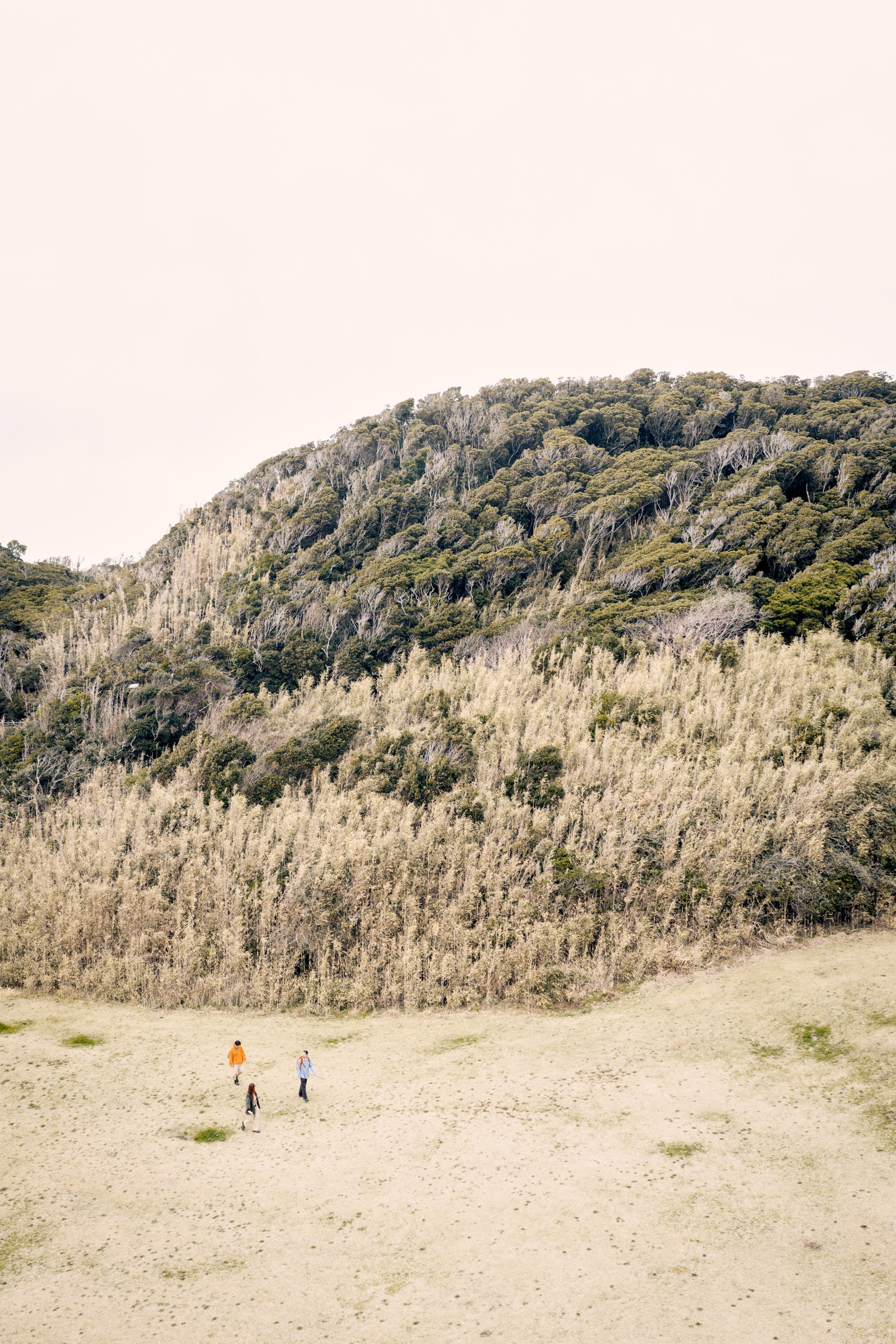 迷迭香×HNT Nylon Harvest Anorak / Orange